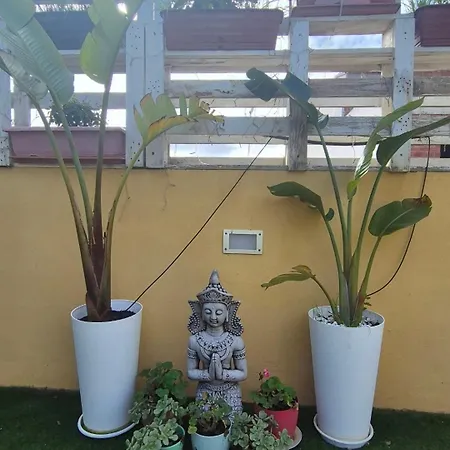 Appartamento Acogedor Y Exotico Hogar Con Piscina Privada Rafelguaraf